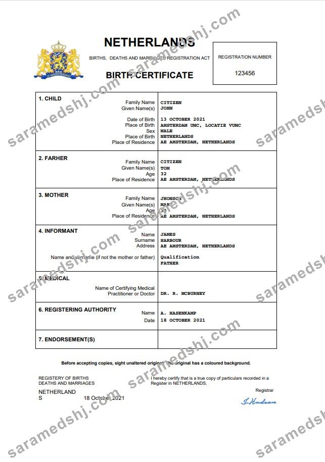 Netherlands vital record birth certificate Word and PDF template